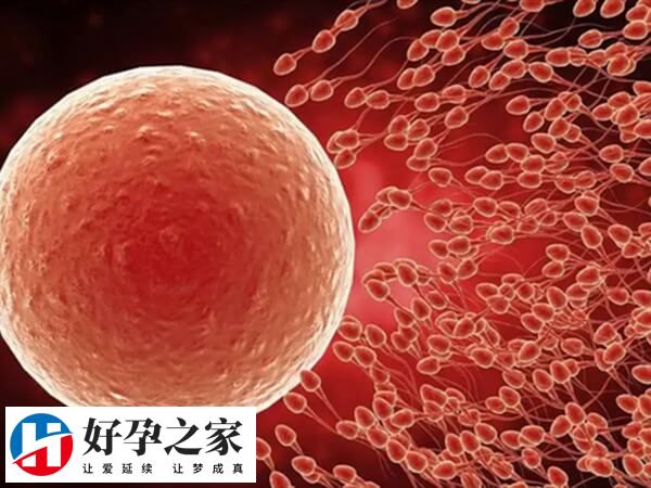 胚胎没过PGS筛查能不能用