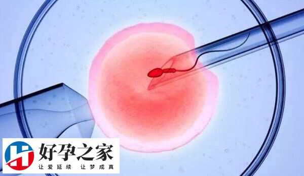 卵泡发育不良能不能做试管婴儿