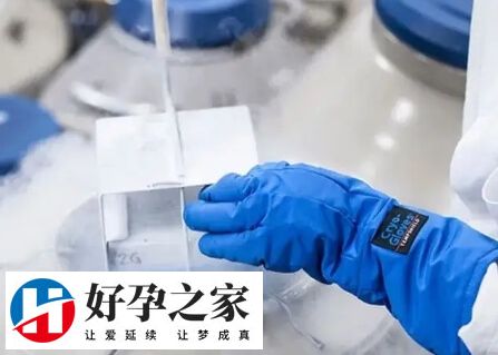 试管婴儿移植一个冻胚成功的经验有哪些
