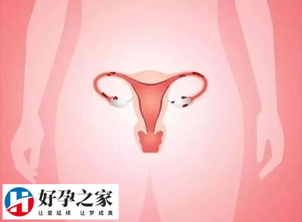 内膜厚不建议做试管