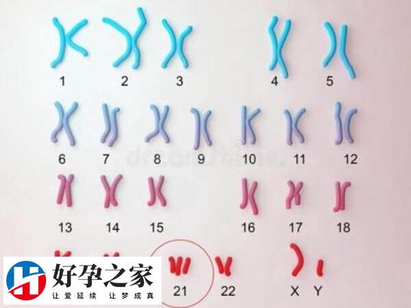 正常情况下有46条染色体