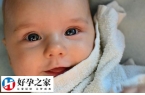 去日本做一次试管助孕建议预算多少钱？