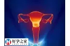 取卵后卵巢多久可以恢复