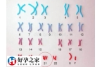 胚胎整倍体+16是什么意思